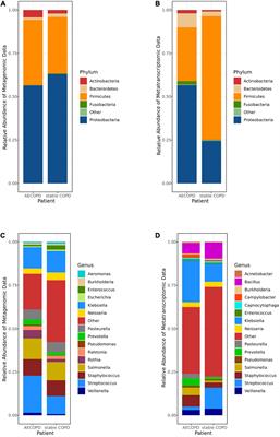 Exploring the Change of Host and Microorganism in Chronic Obstructive Pulmonary Disease Patients Based on Metagenomic and Metatranscriptomic Sequencing